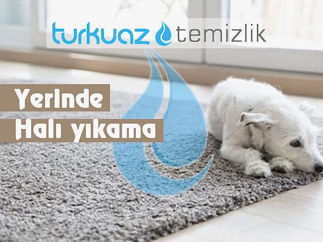 Gölcük Yerinde Halı Yıkama Firması