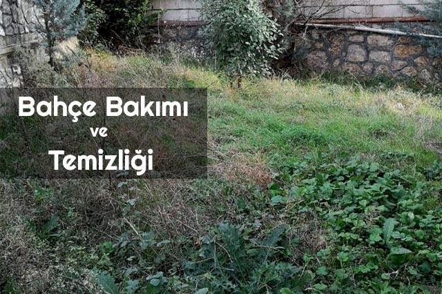 Bahçe Bakımı Ve Temizliği