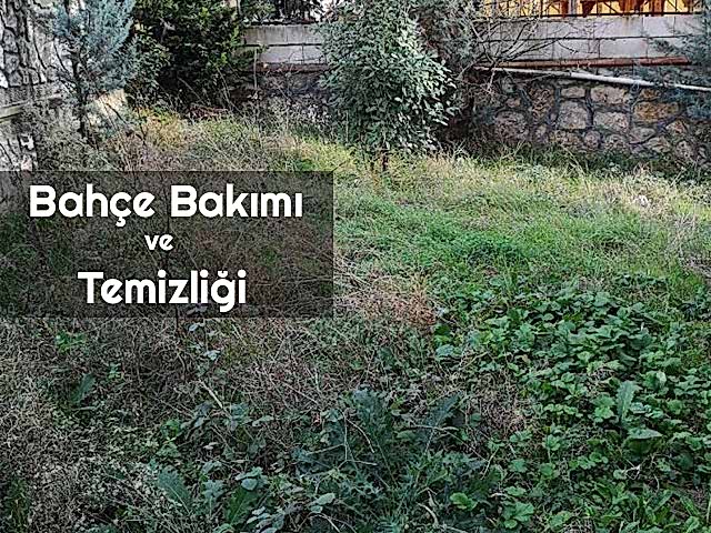 Bahçe Bakımı Ve Temizliği
